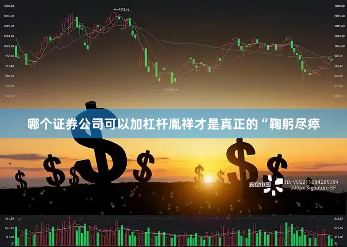 哪个证券公司可以加杠杆胤祥才是真正的“鞠躬尽瘁