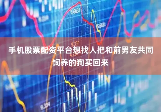 手机股票配资平台想找人把和前男友共同饲养的狗买回来
