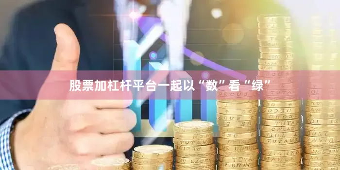 股票加杠杆平台一起以“数”看“绿”